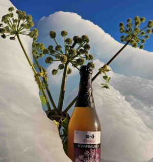 Mousserende kvanmjød